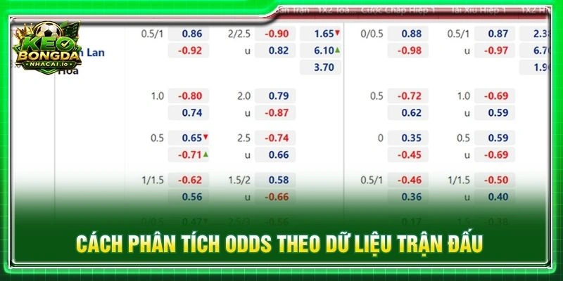 cách đọc tỷ lệ kèo là gì - Image 4